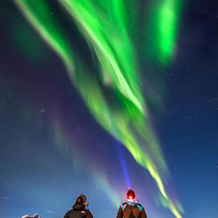 Ballangen Camping Narvik Dış mekan fotoğraf