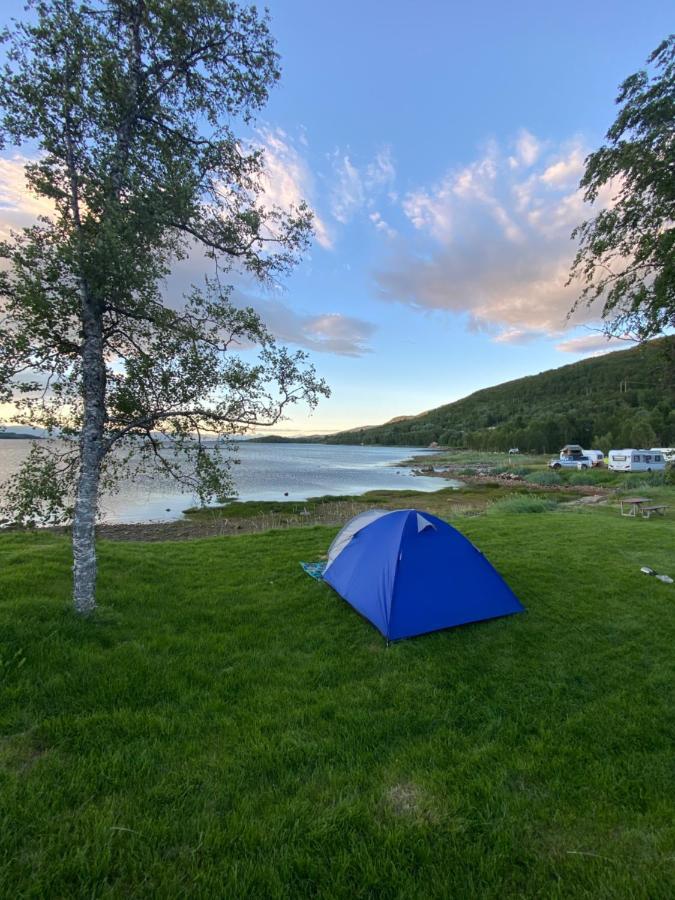 Ballangen Camping Narvik Dış mekan fotoğraf