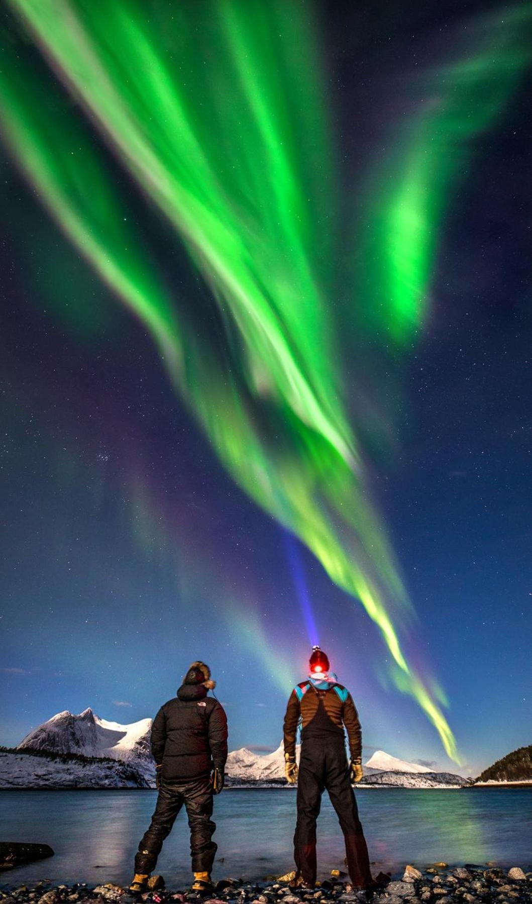 Ballangen Camping Narvik Dış mekan fotoğraf
