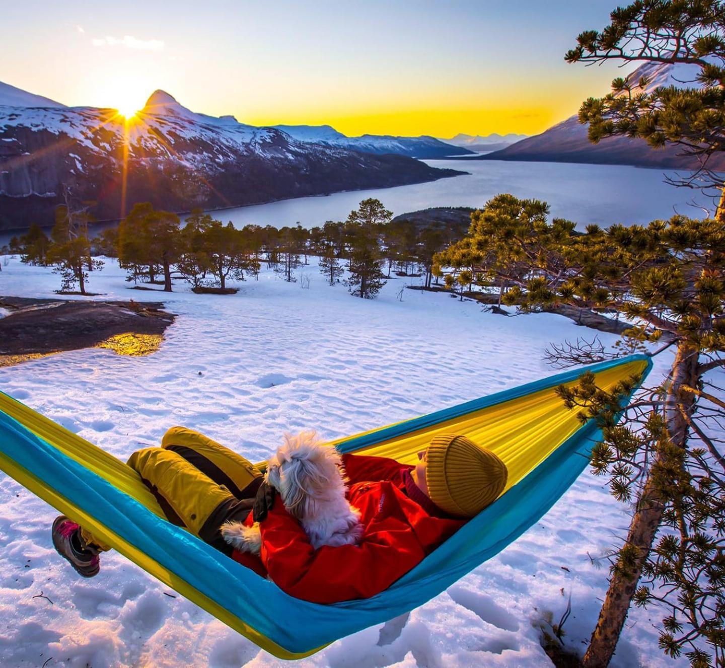 Ballangen Camping Narvik Dış mekan fotoğraf