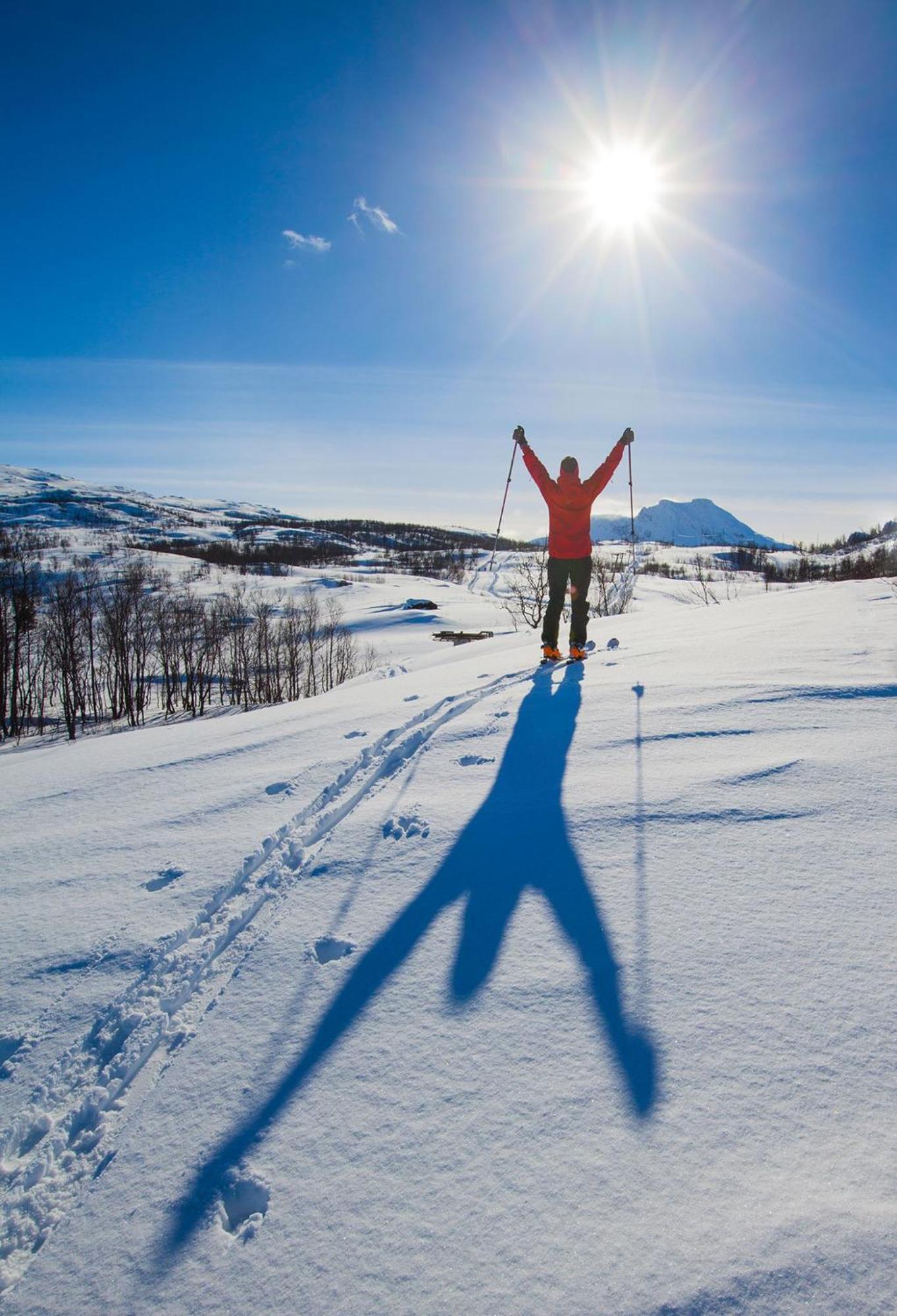 Ballangen Camping Narvik Dış mekan fotoğraf