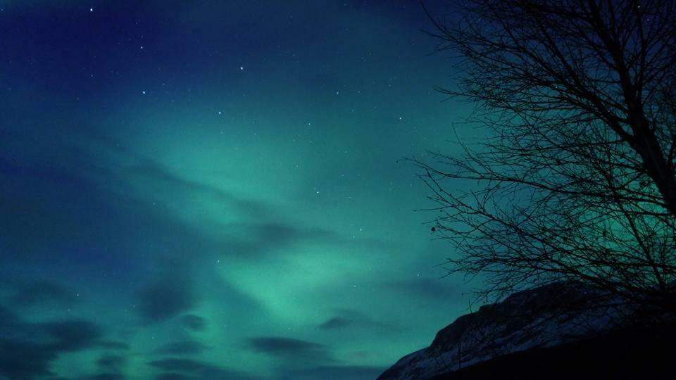 Ballangen Camping Narvik Dış mekan fotoğraf